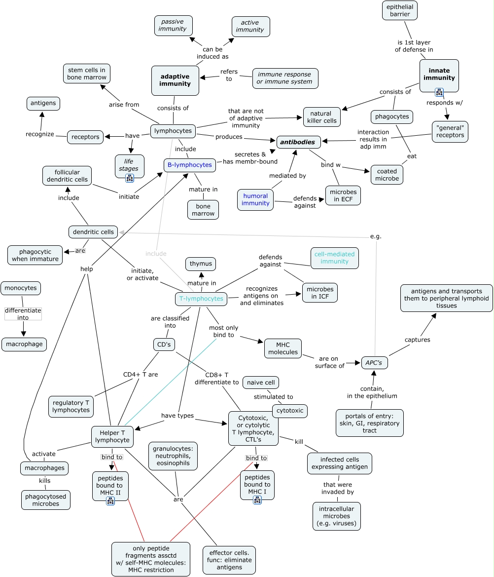 intro to immunology